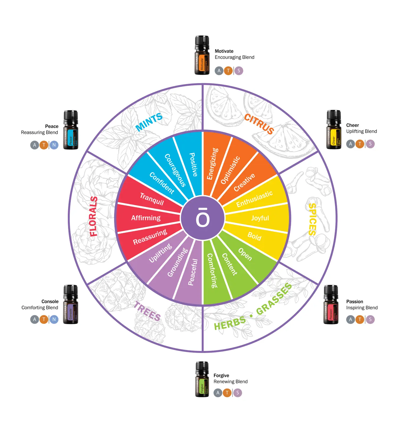 Emotional Aromatherapy chart